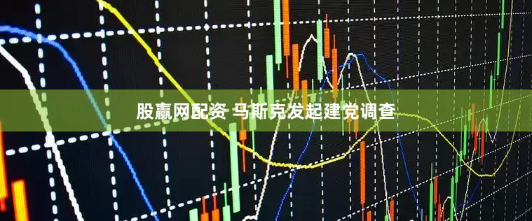 股赢网配资 马斯克发起建党调查