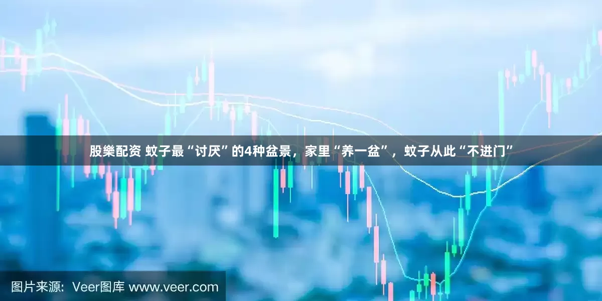 股樂配资 蚊子最“讨厌”的4种盆景，家里“养一盆”，蚊子从此“不进门”